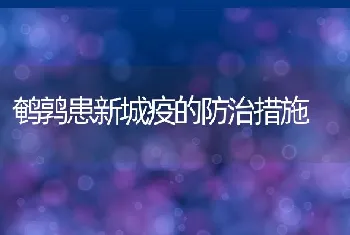 鹌鹑患新城疫的防治措施