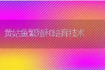 黄姑鱼繁殖和培育技术