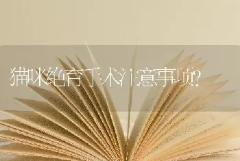 黑色金毛叫什么名字好？