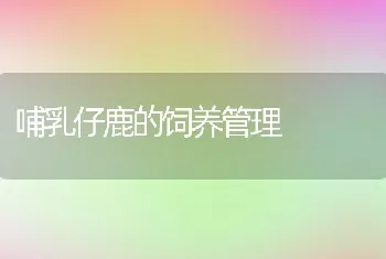 大菱鲆细菌性疾病的中草药复方获国家发明专利授权