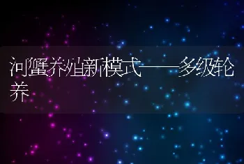 河蟹养殖新模式——多级轮养