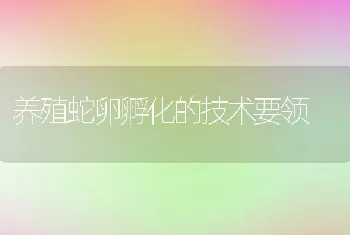 养殖蛇卵孵化的技术要领