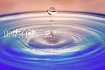 虾虎有鳞片么？