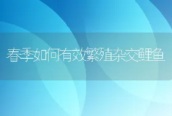 阿兴记第三期肉兔养殖技术培训班顺利结业