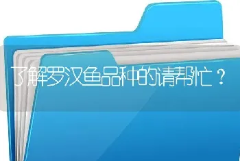 了解罗汉鱼品种的请帮忙？