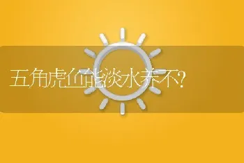 五角虎鱼能淡水养不？