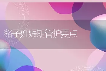 貉子妊娠期管护要点