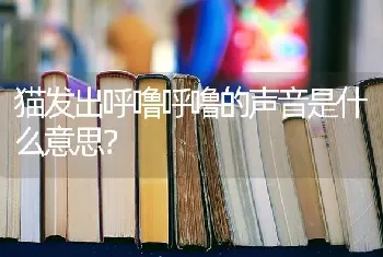 东德牧羊犬什么颜色养的人多？