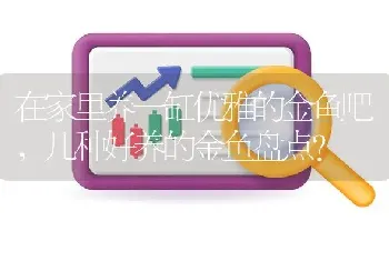 在家里养一缸优雅的金鱼吧，几种好养的金鱼盘点？