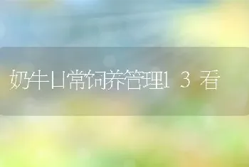 奶牛日常饲养管理13看