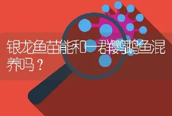 银龙鱼苗能和一群鹦鹉鱼混养吗？