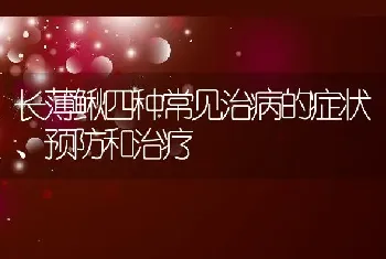 长薄鳅四种常见治病的症状、预防和治疗