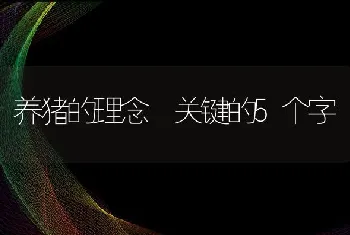 养猪的理念关键的5个字