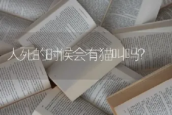 人死的时候会有猫叫吗？