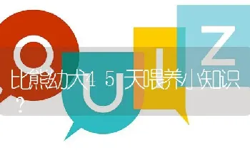 比熊幼犬45天喂养小知识？