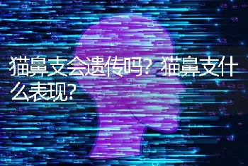 猫鼻支会遗传吗？猫鼻支什么表现？