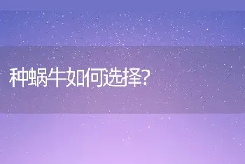 种蜗牛如何选择？