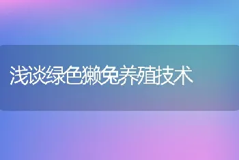 浅谈绿色獭兔养殖技术