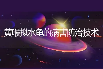 黄喉拟水龟的病害防治技术