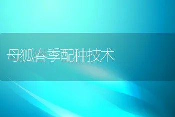 母狐春季配种技术