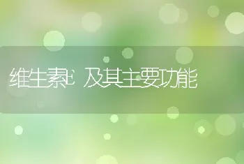 维生素E及其主要功能