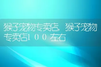 猴子宠物专卖店，猴子宠物专卖店100左右