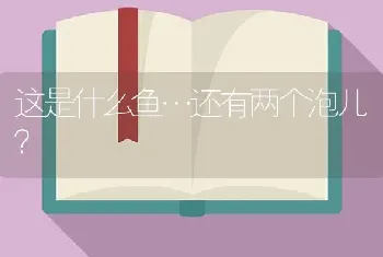 这是什么鱼…还有两个泡儿？