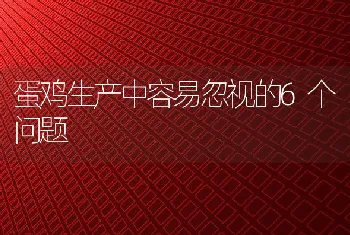 蛋鸡生产中容易忽视的6个问题