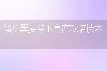 斑节对虾养殖技术之水质管理