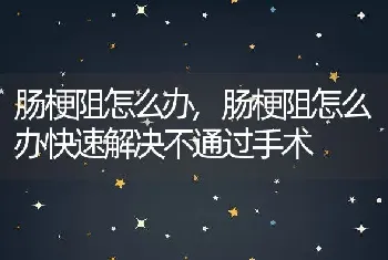 肠梗阻怎么办，肠梗阻怎么办快速解决不通过手术