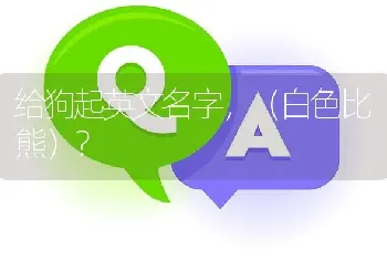 给狗起英文名字，（白色比熊）？