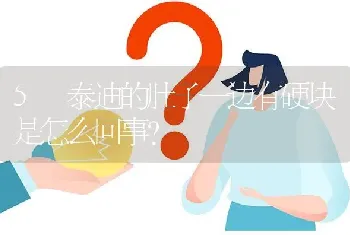 5 泰迪的肚子一边有硬块是怎么回事？