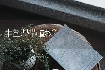 中国温带植物？