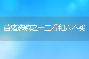 苗猪选购之十二看和六不买