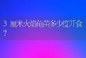 3厘米火焰龟苗多少度开食？