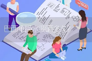 2个月的缅因2斤正常吗？