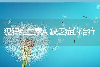 狐狸维生素A缺乏症的治疗