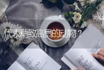 代表精致高贵的动物？