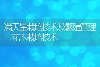 肉狗的饲料配方与调制