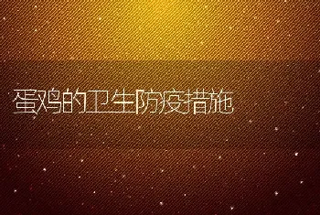 蛋鸡的卫生防疫措施