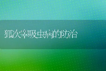 狐次睾吸虫病的防治