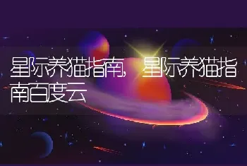 星际养猫指南，星际养猫指南百度云