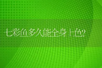 黑玛丽鱼要生的时候是怎么样的？