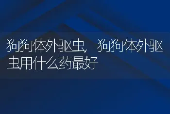 狗狗体外驱虫，狗狗体外驱虫用什么药最好