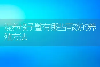 混养梭子蟹有哪些高效的养殖方法