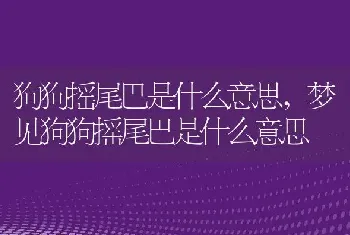 腰臀比正常范围，腰臀比正常范围是多少