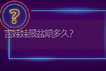 吉娃娃服盆期多久？