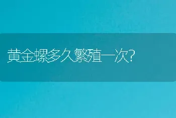 黄金螺多久繁殖一次？