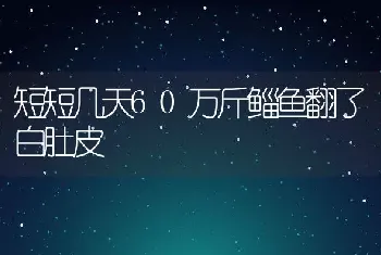 短短几天60万斤鲻鱼翻了白肚皮