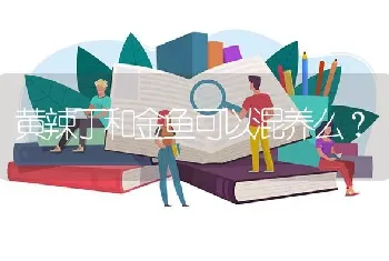 黄辣丁和金鱼可以混养么？